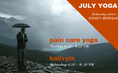 Balancing water – KIDNEY Meridian
