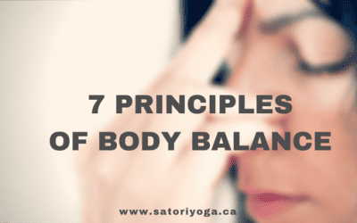 Satori Blog 9 A Very Tasty Stew: 7 Principles of Body Balance