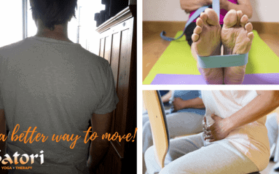 Satori Blog 6 Fascial Patterns, Alignment, And The “Sitting” Experiment