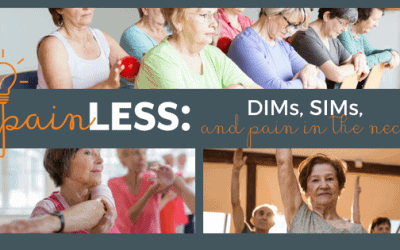 Satori Blog 7 DIMs, SIMs, and The Pain In The Neck