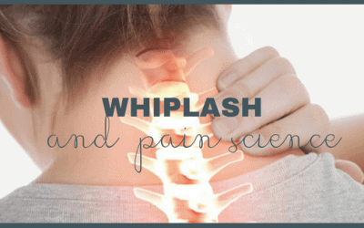Satori Blog 5 WHIPLASH and pain science