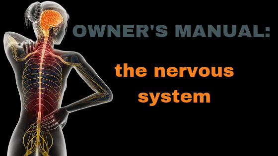 nervous system owners manual