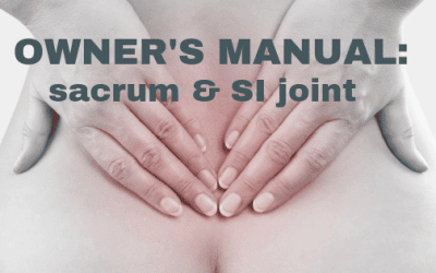 Satori Blog 9 OWNER’S MANUAL: sacrum & SI joint