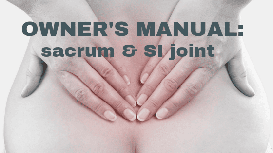 owners manual si