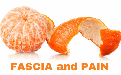Satori Blog 5 FASCIA and PAIN