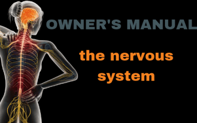 Satori Blog 6 OWNER’S MANUAL: human nervous system | part 1