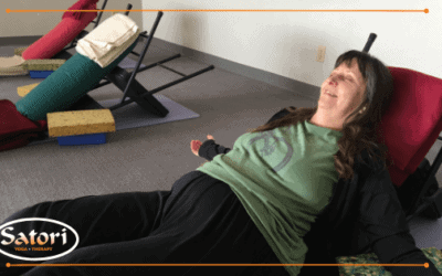 Satori Blog 10 From Pain To Performance – Your WAY!