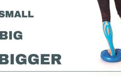 Satori Blog 4 SMALL – BIG – BIGGER rehab