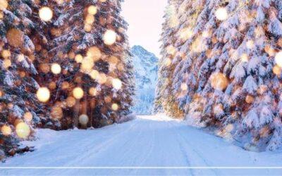 Satori Blog 2 Christmas Traditions