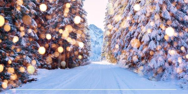 christmas traditions