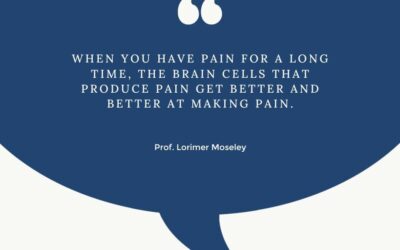 Pain Is Modulated By Any Evidence That Implies Danger